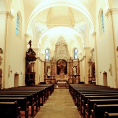 le samedi 11 juin 2016, Jean-Louis Langrognet a commenté la visite de l’église de Frétigney