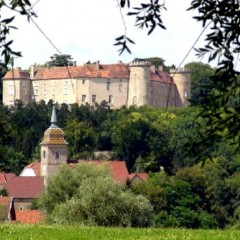 Samedi 24 juin 2017, Pascal Brunet a passionné son auditoire par sa présentation du château de Ray-sur-Saône